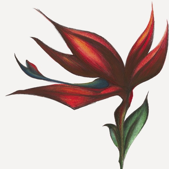 Meet your Posher, Kristal - Picture 1 of 1